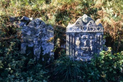 Camus nan Gael gravestones