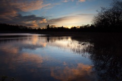 a-late-afternoon-sun-at-mugdock-4