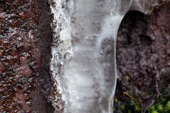 a-wander-onto-the-moor-13