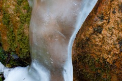 a-wander-onto-the-moor-14