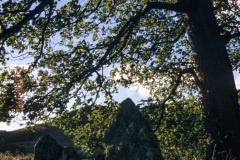 Camus nan Gael burial chamber