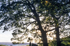 Camus nan Gael burial chamber