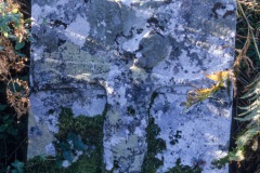 Camus nan Gael gravestone