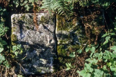 Camus nan Gael gravestone