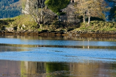 castle-lachlan-reflections-2