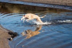 Greenan Castle Reflections