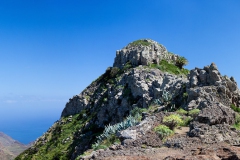 colourful-jerdune-13