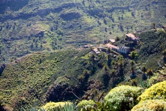 colourful-jerdune-21