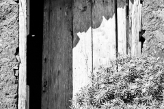 derelict-jerdune-7