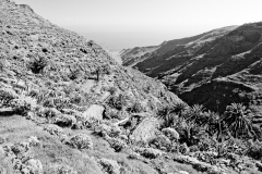 derelict-jerdune-9