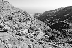 derelict-jerdune-9