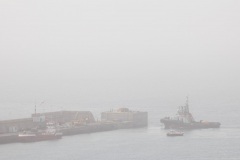 extending-the-harbour-10