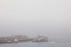 extending-the-harbour-8