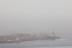 extending-the-harbour-9