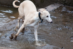 fun-in-the-mud-5