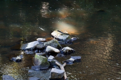 ghosts-on-the-water-1