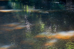 ghosts-on-the-water-2
