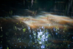 ghosts-on-the-water-4