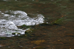 ghosts-on-the-water-9