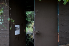 Looking back at the doors