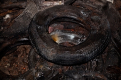 Kelvinbridge Railway Station