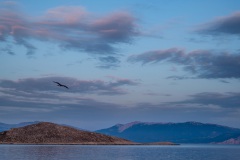 Enjoying the views from our balcony with a glass of wine
