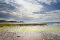 heads-of-ayr-and-greenan-castle-3