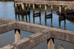heads-of-ayr-and-greenan-castle-9