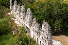 house-of-the-pigeons-2