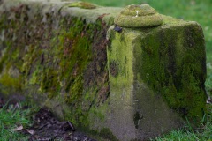 lunchtime-wanders-govan-church-4