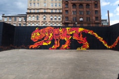 lunchtime-wanders-clyde-tiger-3