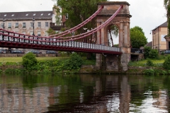 lunchtime-wanders-clyde-tiger-4