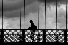 lunchtime-wanders-clyde-tiger-8