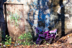 lunchtime-wanders-the-high-street-3