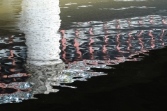 Reflections under the bridge