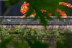 lunchtime-wanders-clydeside-south-6