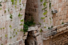 Mayan Arch at the Nunnary Quadrangle