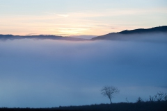 mist-over-loch-ascog-1