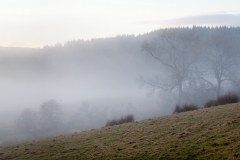 mist-over-loch-ascog-3