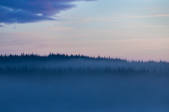 mist-over-loch-ascog-4