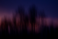 Moved by a Colourful Sunset