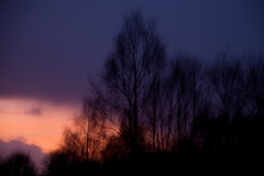 Moved by a Colourful Sunset