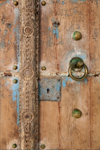 Ancient Ceylon Door