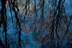 reflections-1