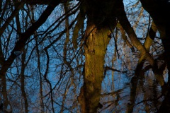 reflections-2