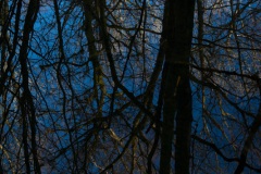 reflections-3