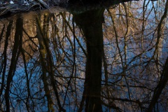 reflections-4