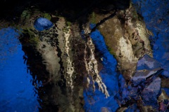 reflections-8