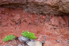 road-to-puntallana-8