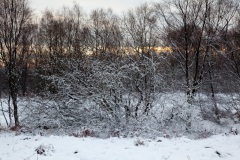 snow-in-the-woods-10